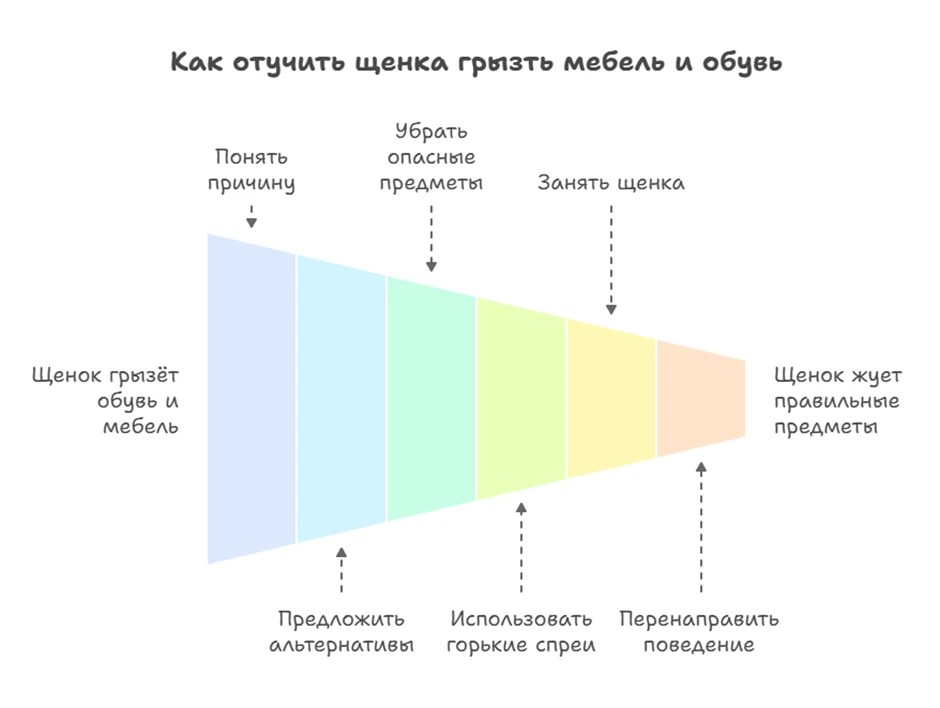 681b32b885a01.webp
