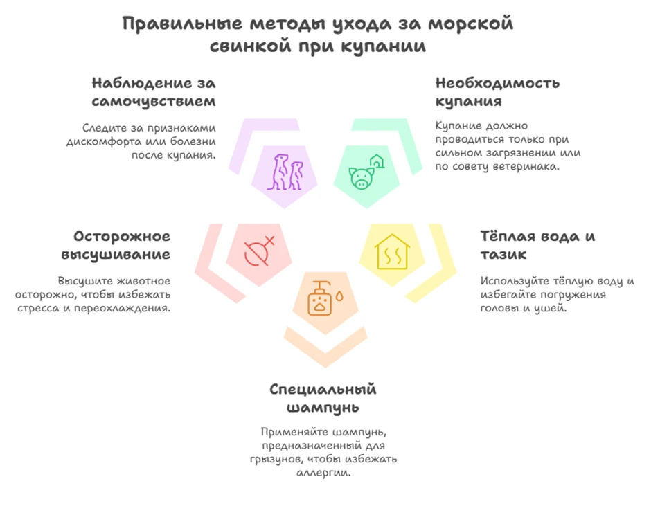 681c865e6e9d7.webp