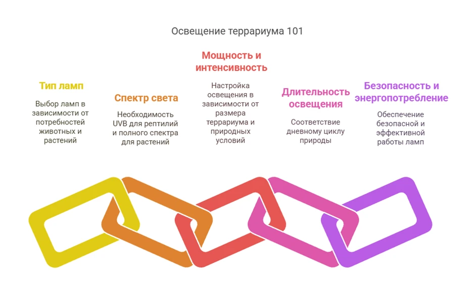 681c8911f1780.webp