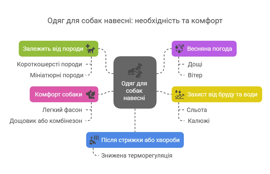 681c897e834c7.webp
