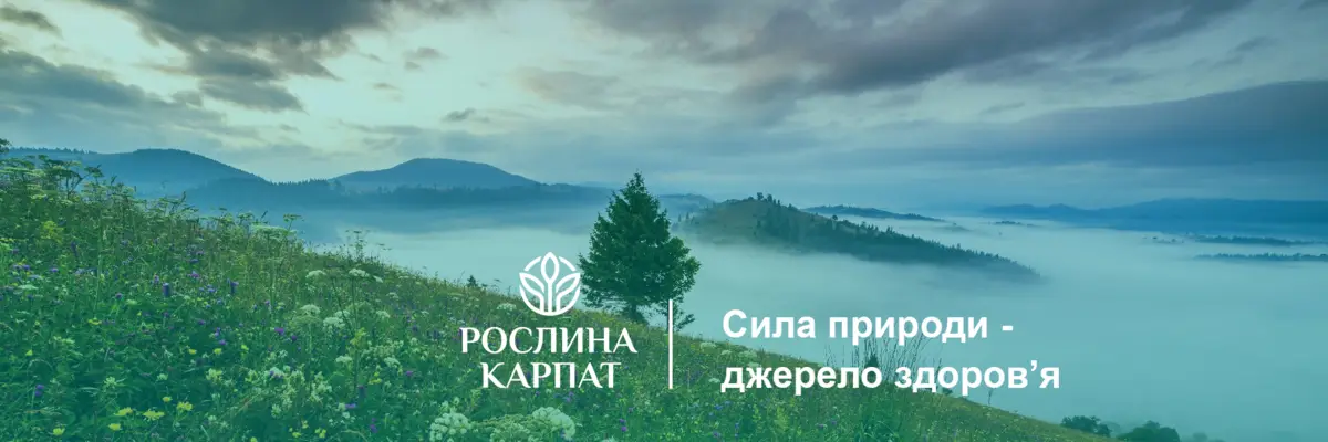 6846a420090d4.webp