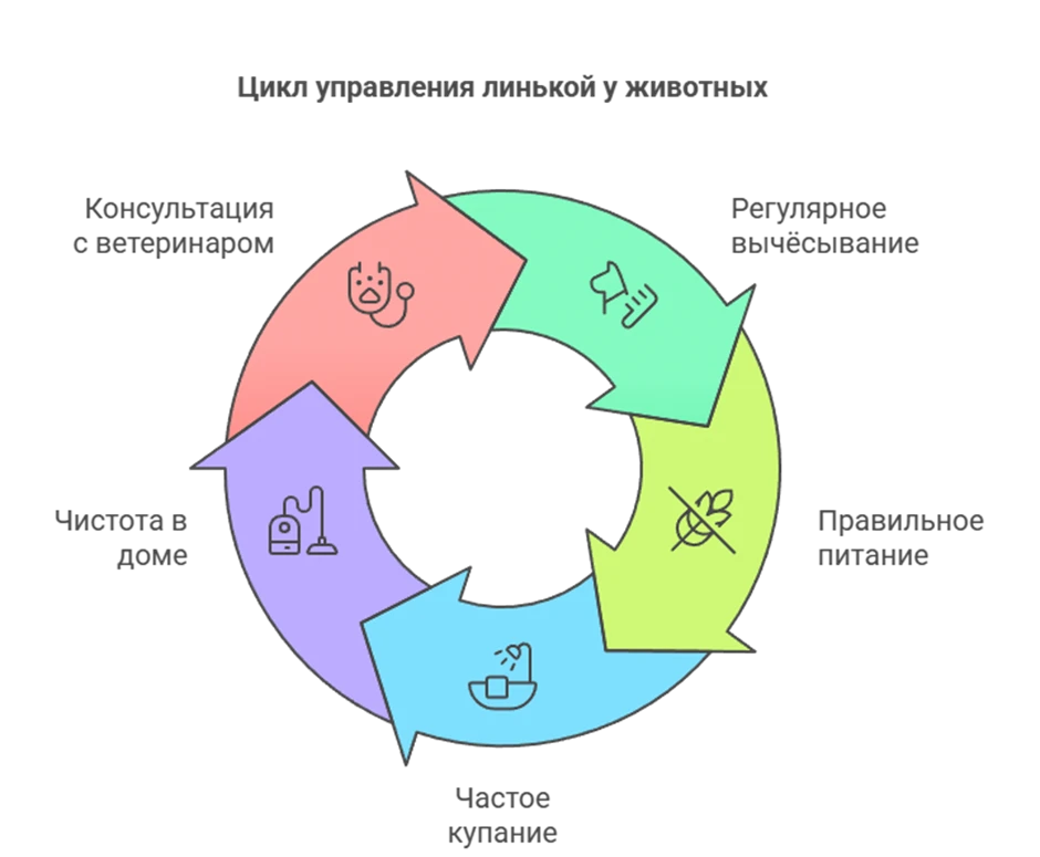 6848114e13372.webp