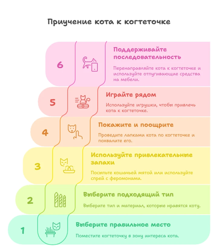 68494467d5414.webp