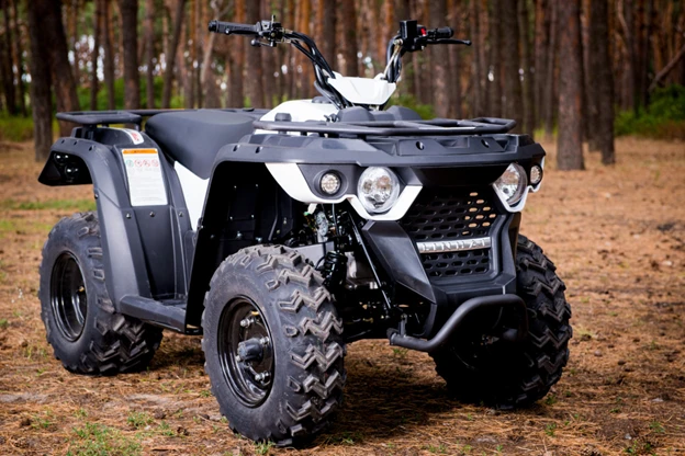 684b2fca4848c.webp