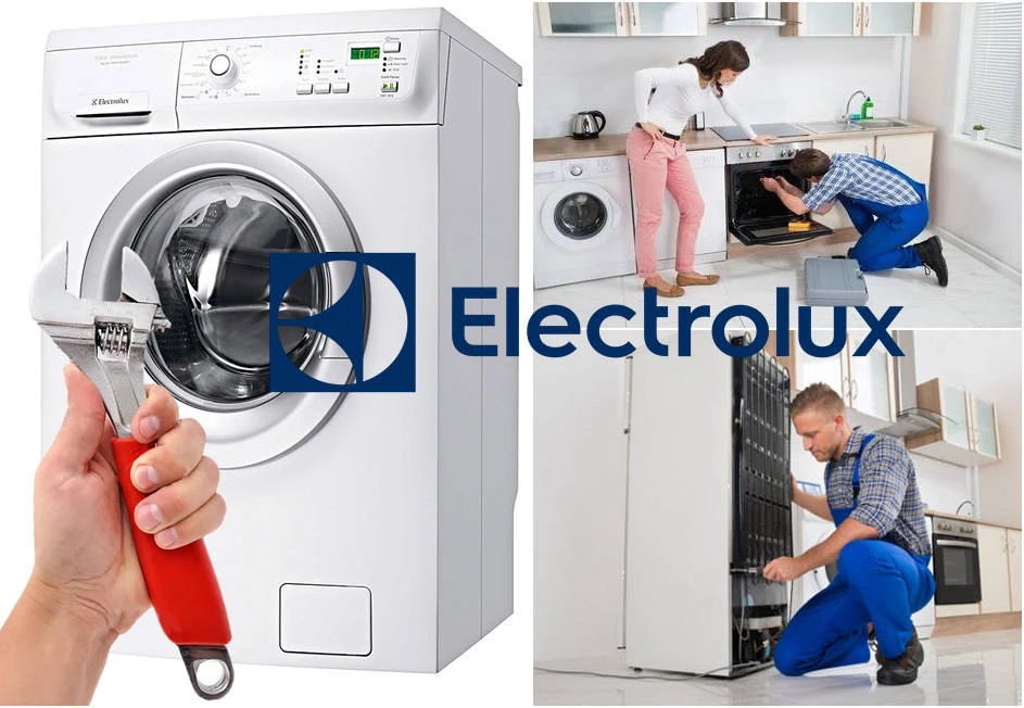      Electrolux