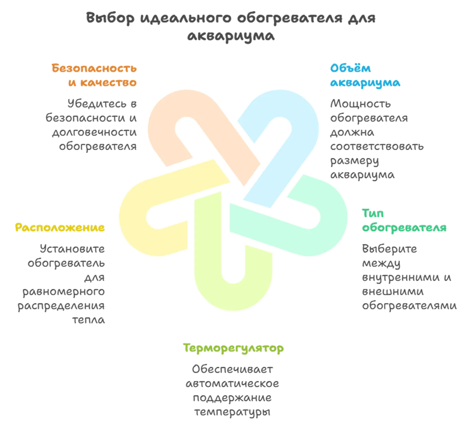 6850029fe8dac.webp