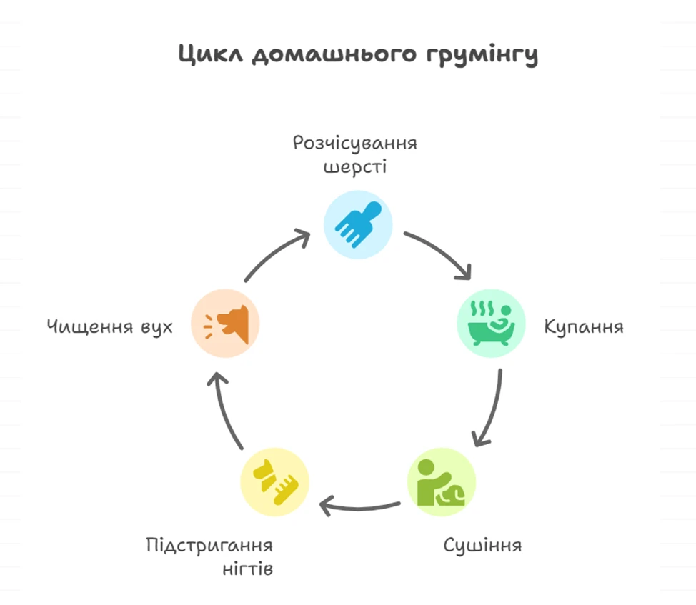 685aa7771ac3c.webp