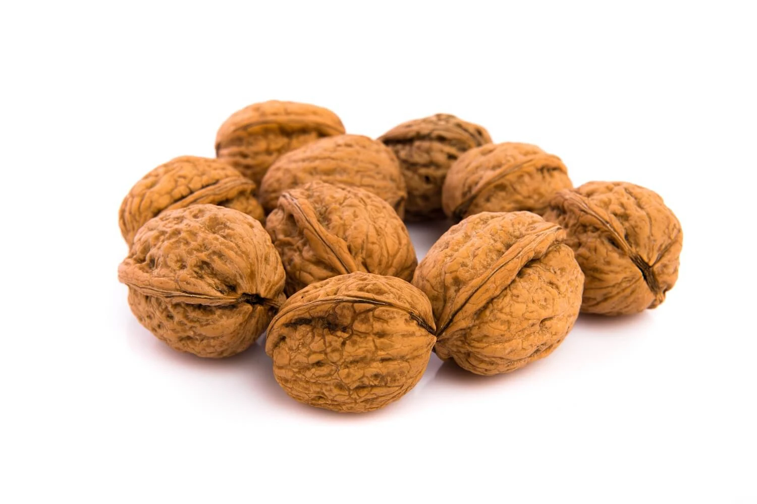 686ba482e8c08.webp