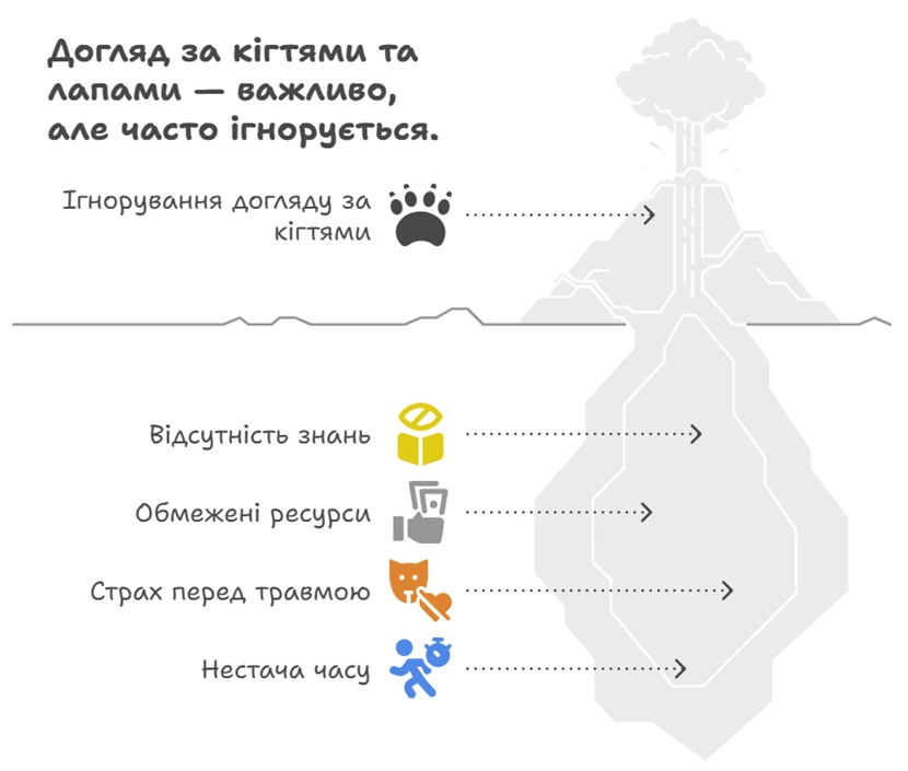 6877bbf462211.webp