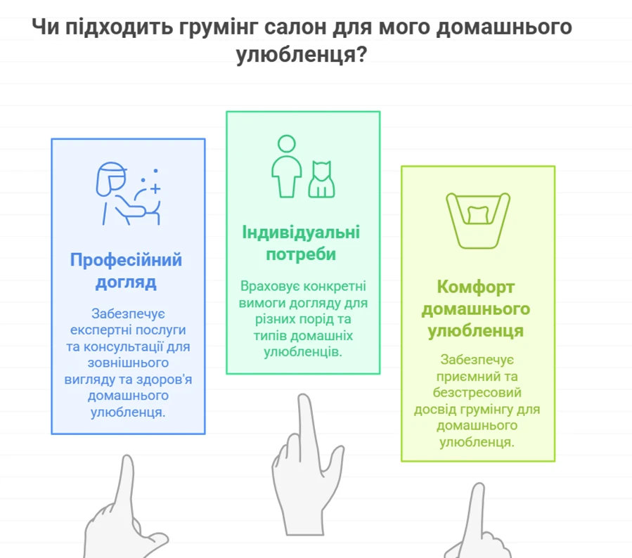 6877bfd362794.webp