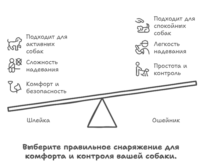 6878f0e2019c9.webp