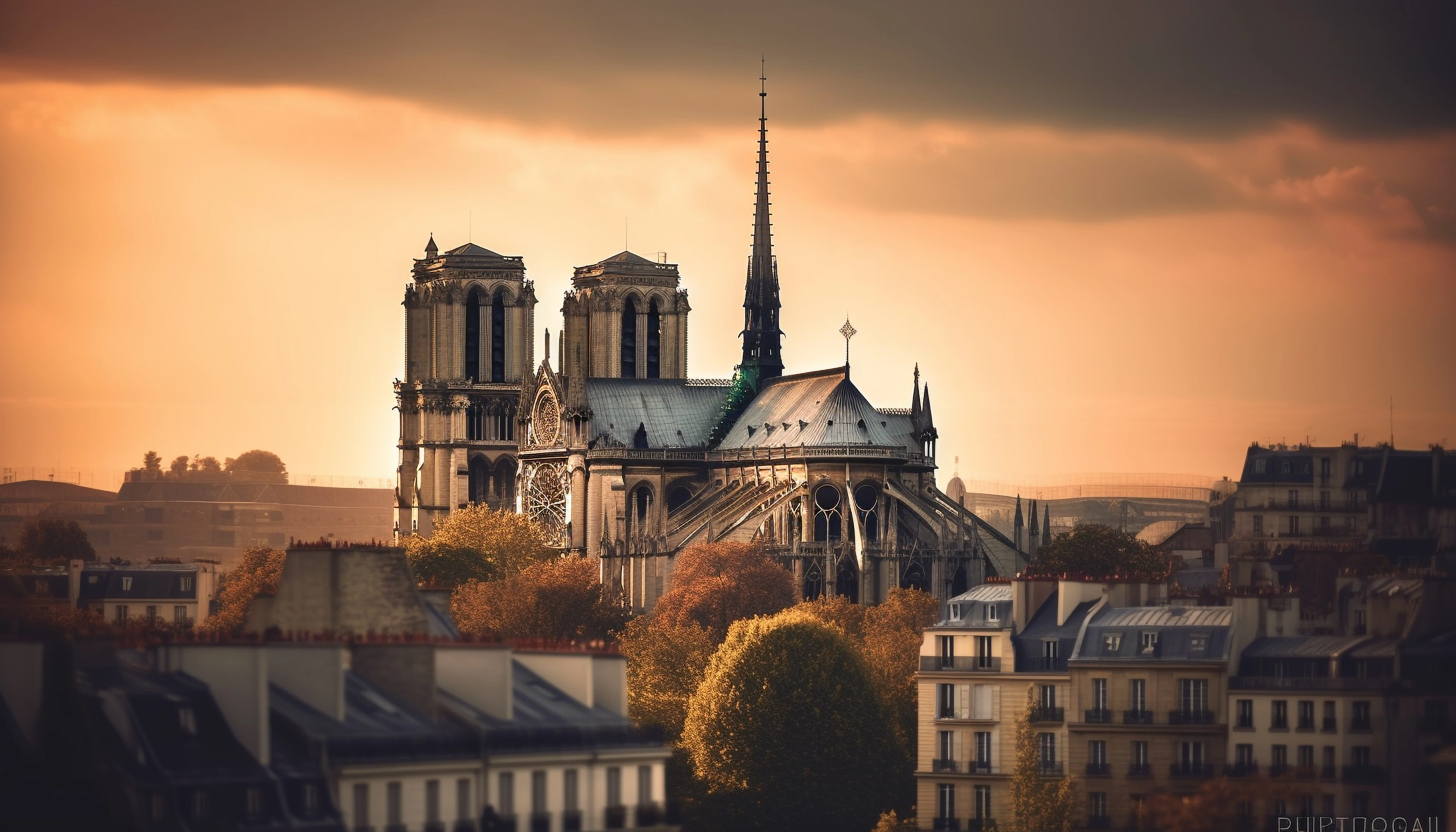 Notre-Dame Cathedral