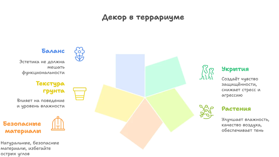 6899f7983fa3d.webp