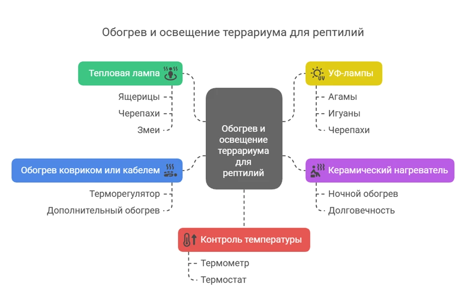 689c8f5d32276.webp