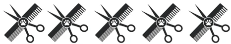 689de19c8f18a.webp