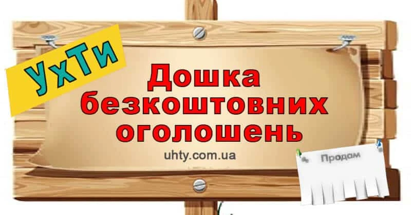 68b09677601ee.webp