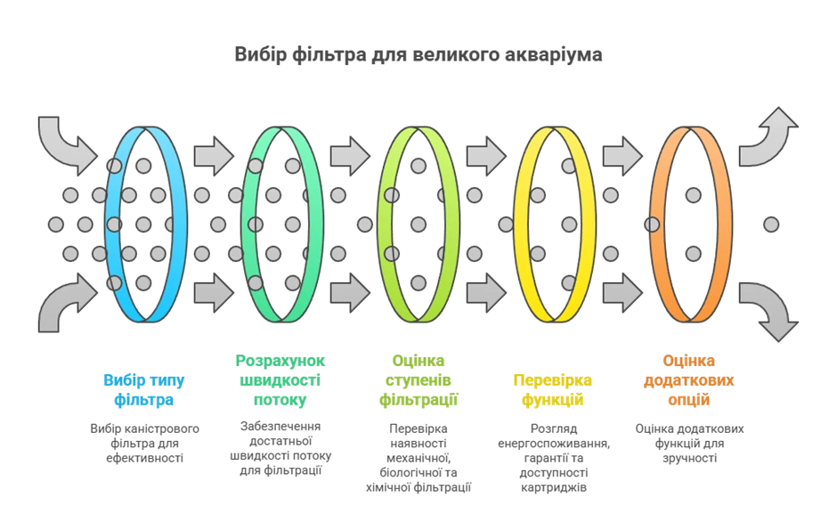 68b5877aadf4c.webp