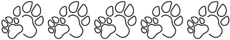 68c80a682ae13.webp