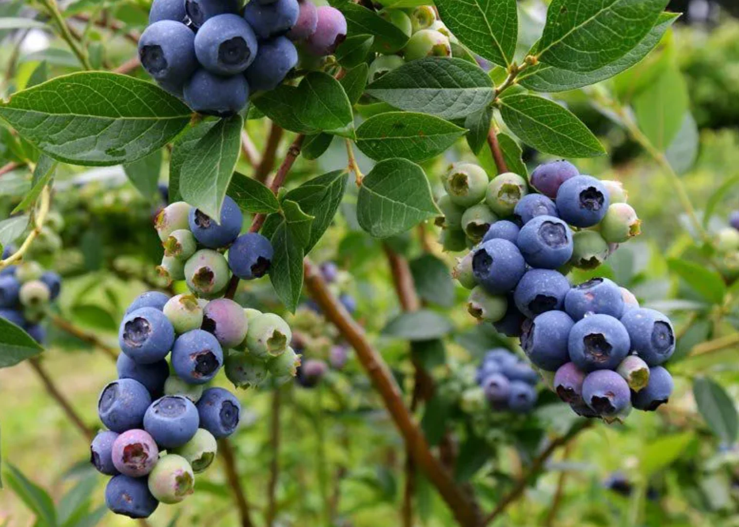68ce7a8b5b665.webp