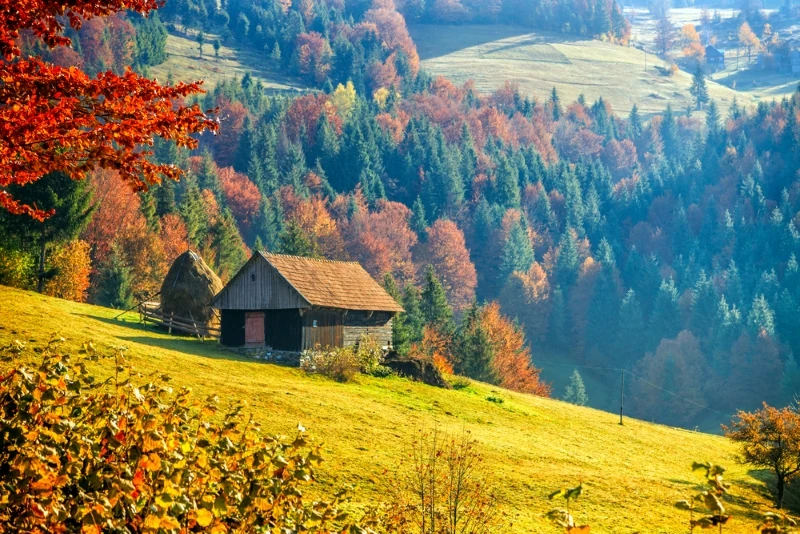 68d01d569714d.webp