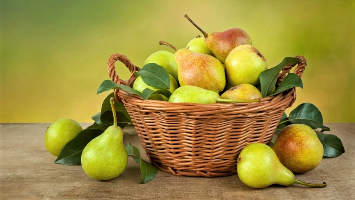 68d0f43e01483.webp