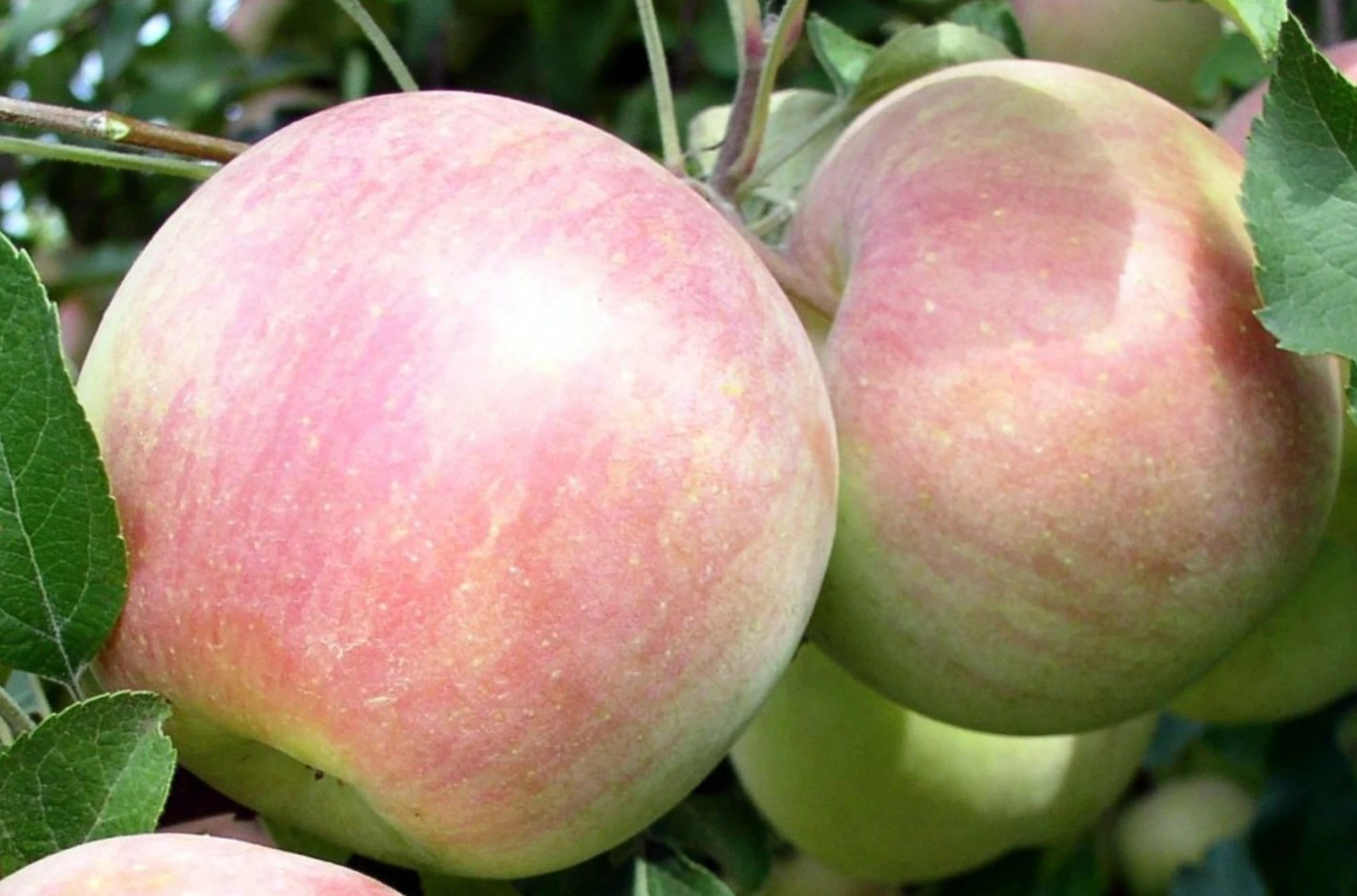 68d55bfc3aa2d.webp