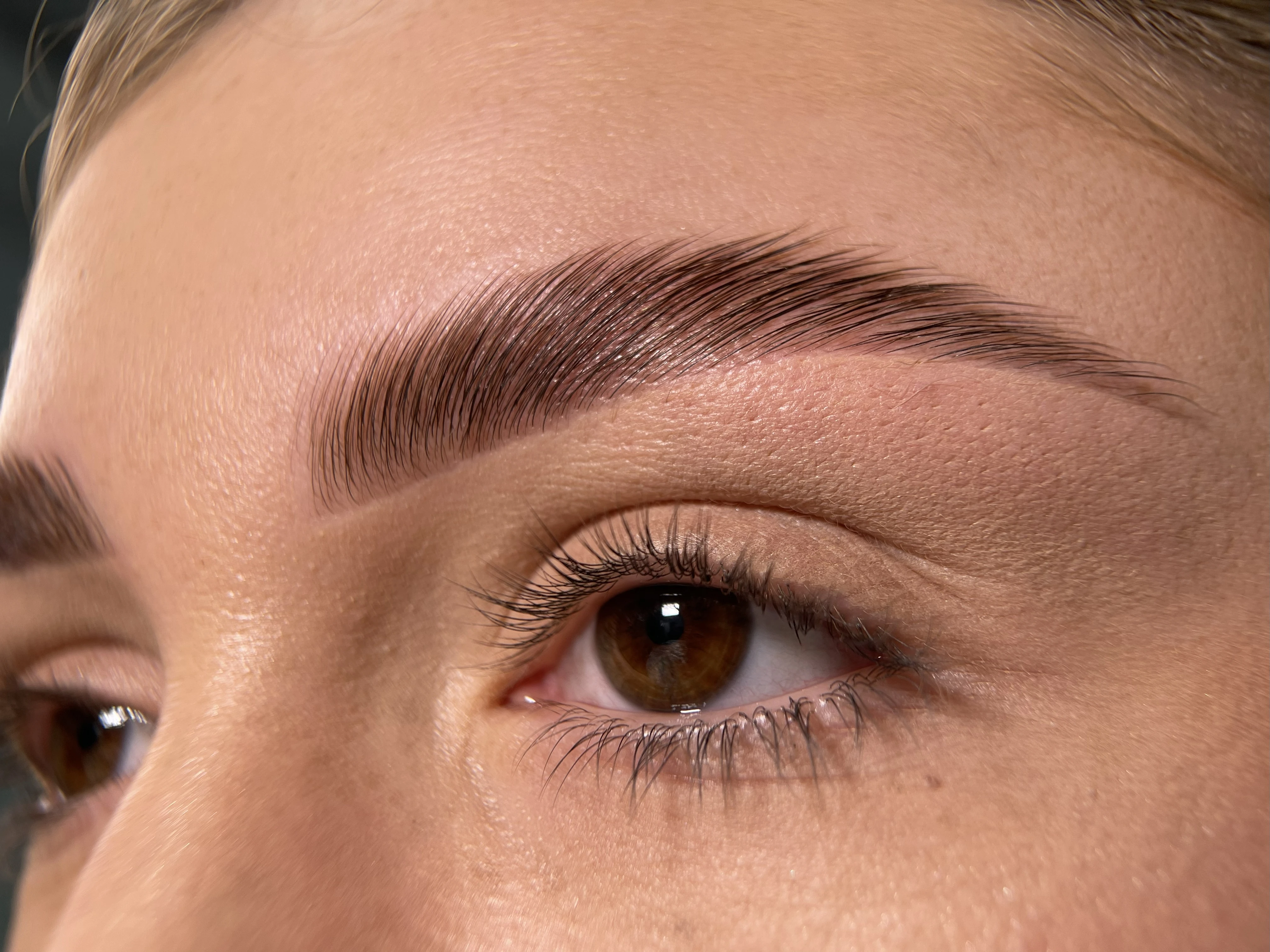 моностеп молеа, Однофазне ламінування брів, Monostep