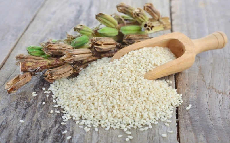 Кунжут - рис 3