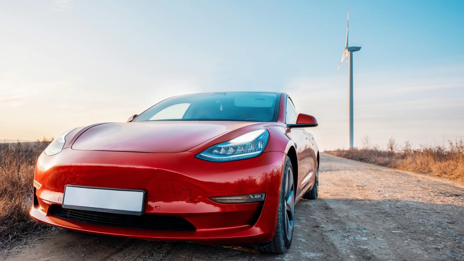 Tesla технічне обслуговування Київ