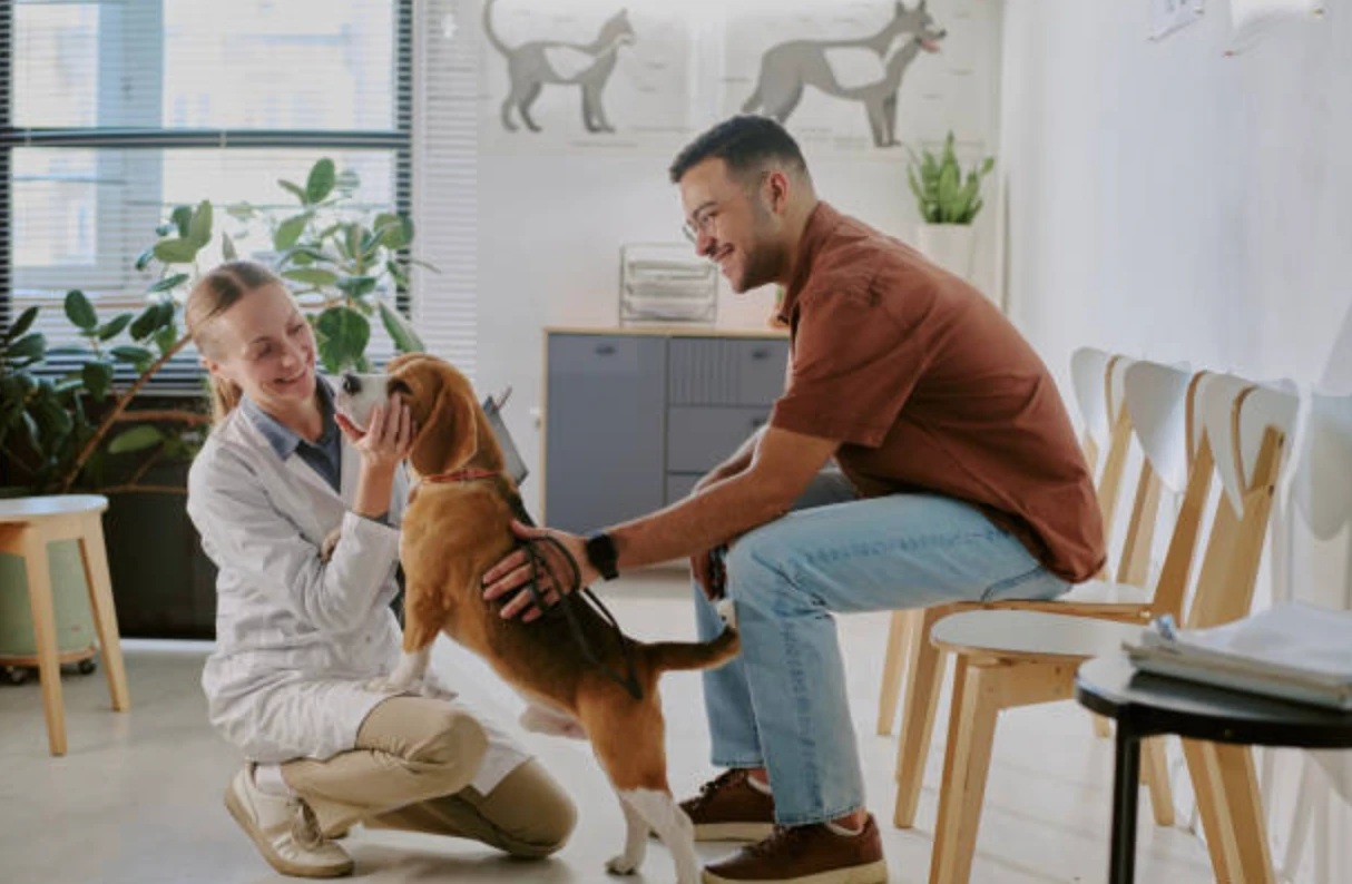 CRM ENOTE для ветеринарів