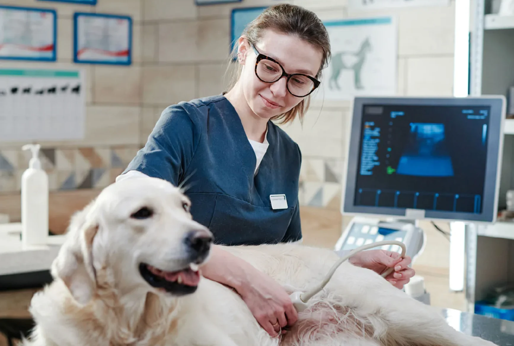 сучасне ПЗ для ветклініки