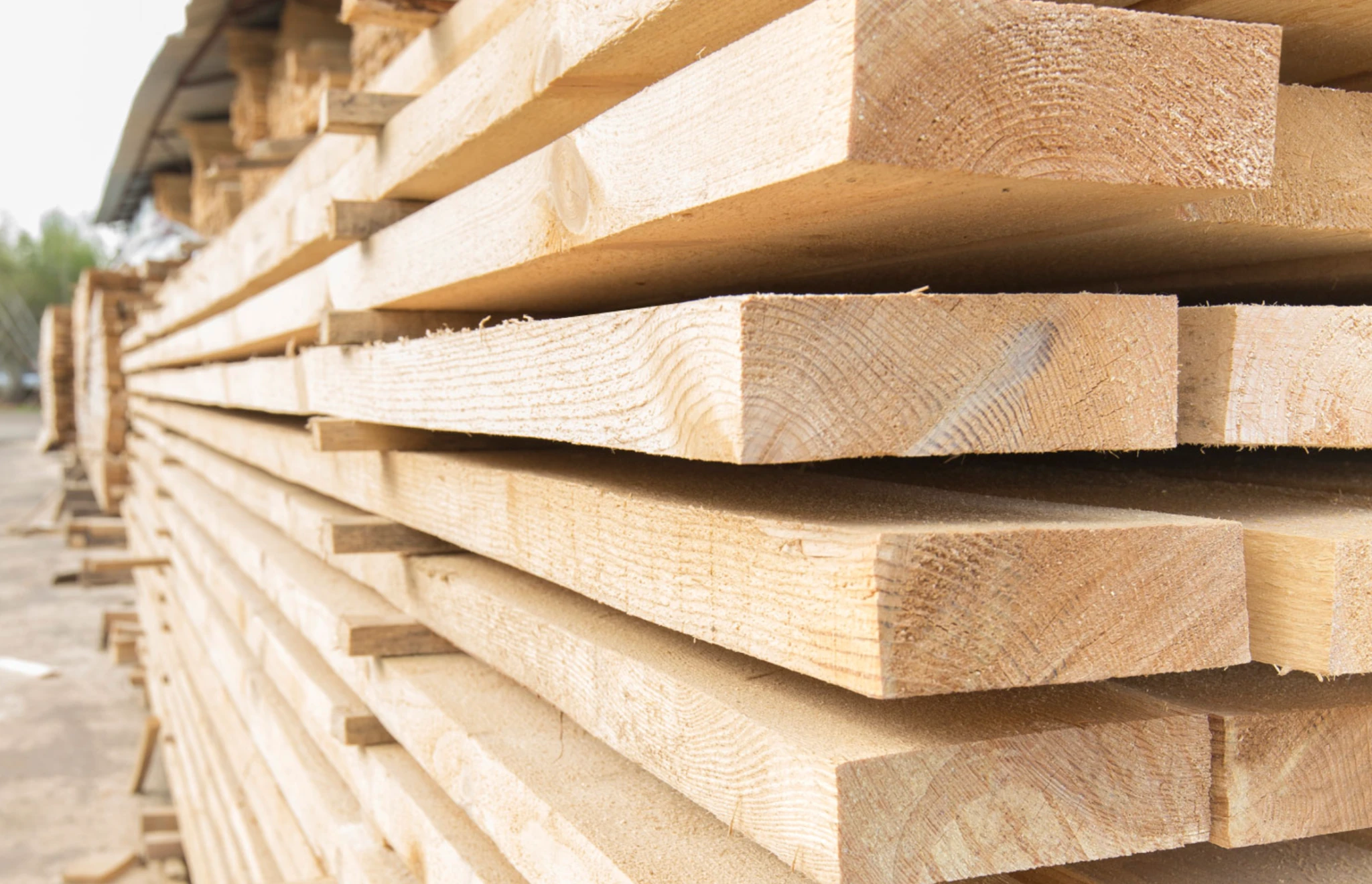 суха соснова дошка для покрівлі