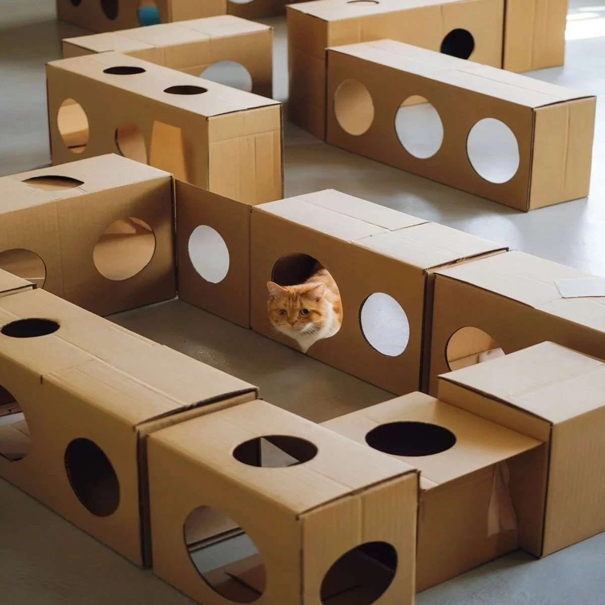 игрушка для кота своими руками