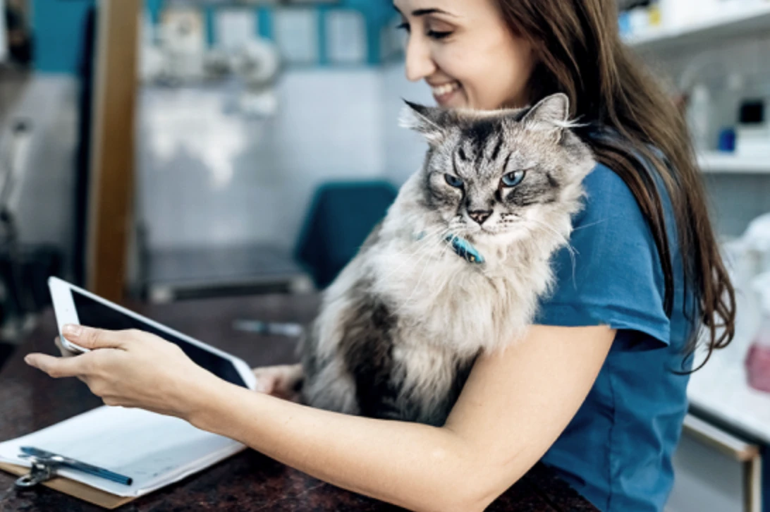 програмне забезпечення для ветеринарних клінік