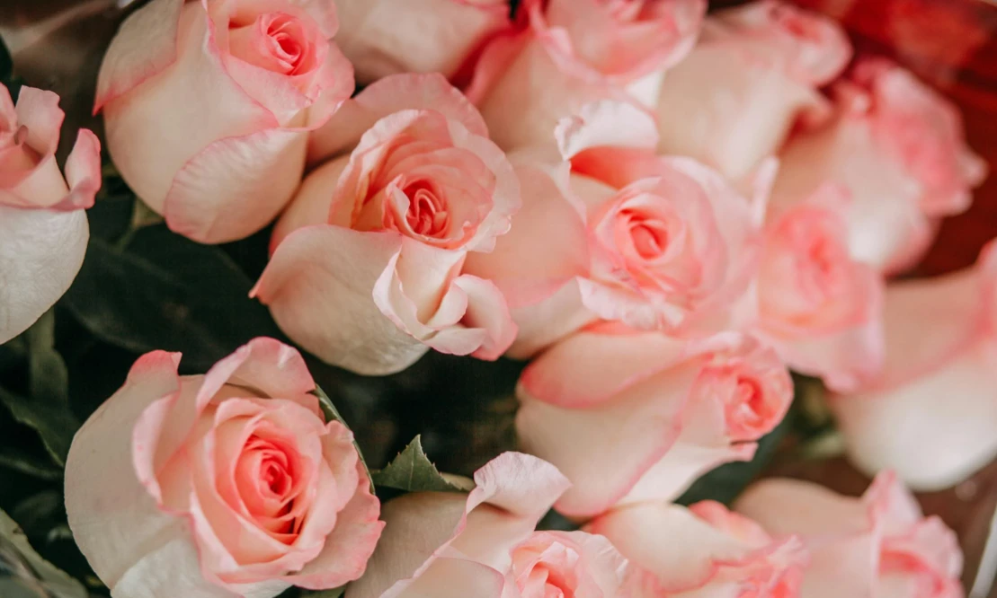 Best Flowers for Birthdays
