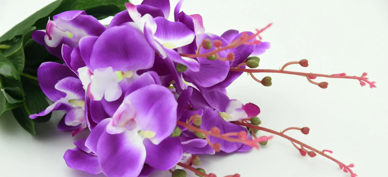 Best Flowers for Birthdays
