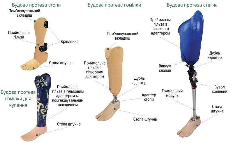 Структура сучасного протеза ноги