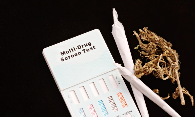 multi drug test screen