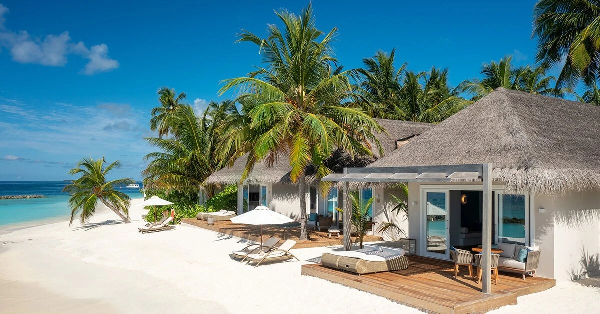 materiały partnera 6935b47bb6e96.webp