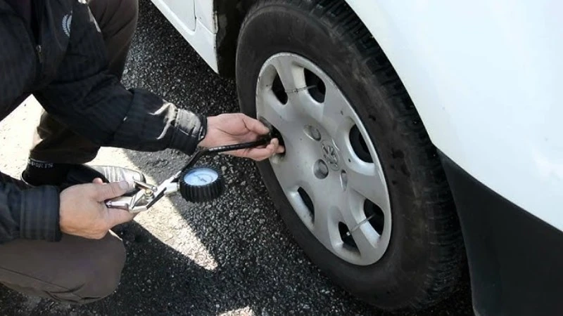 Пистолет для подкачки шин - рис 3