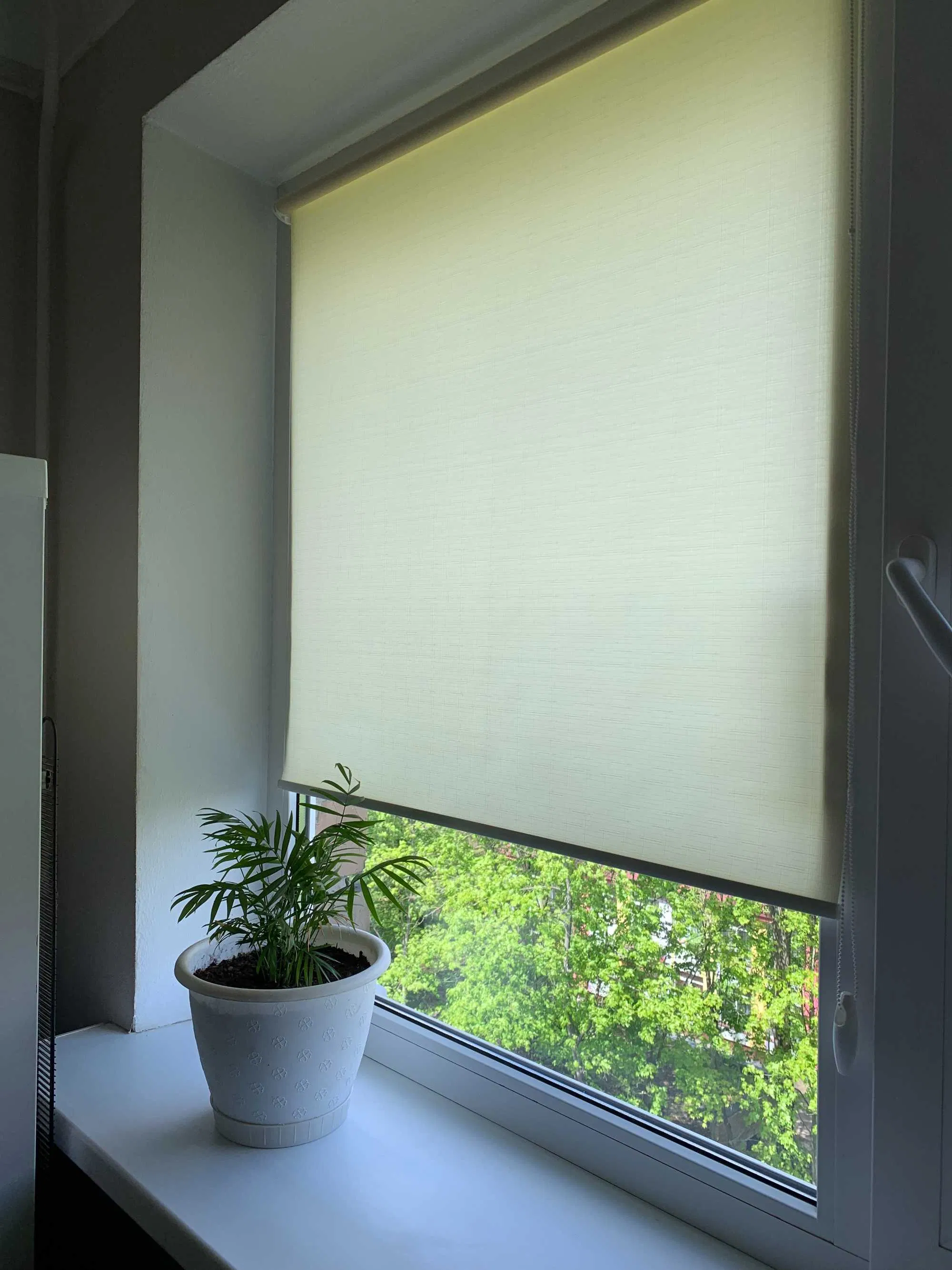 Шторы рулонные купить