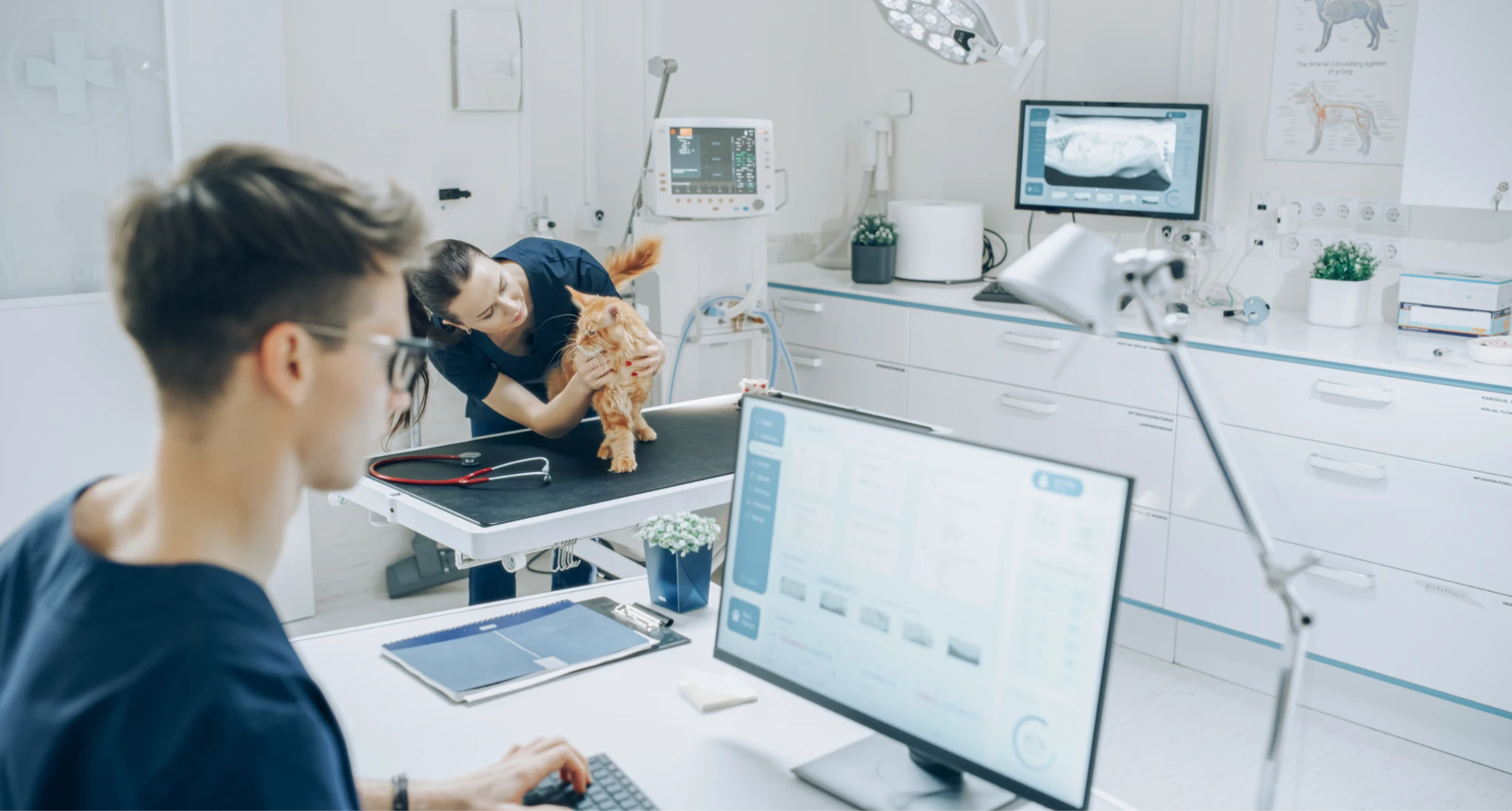 CRM для ветеринарних клінік