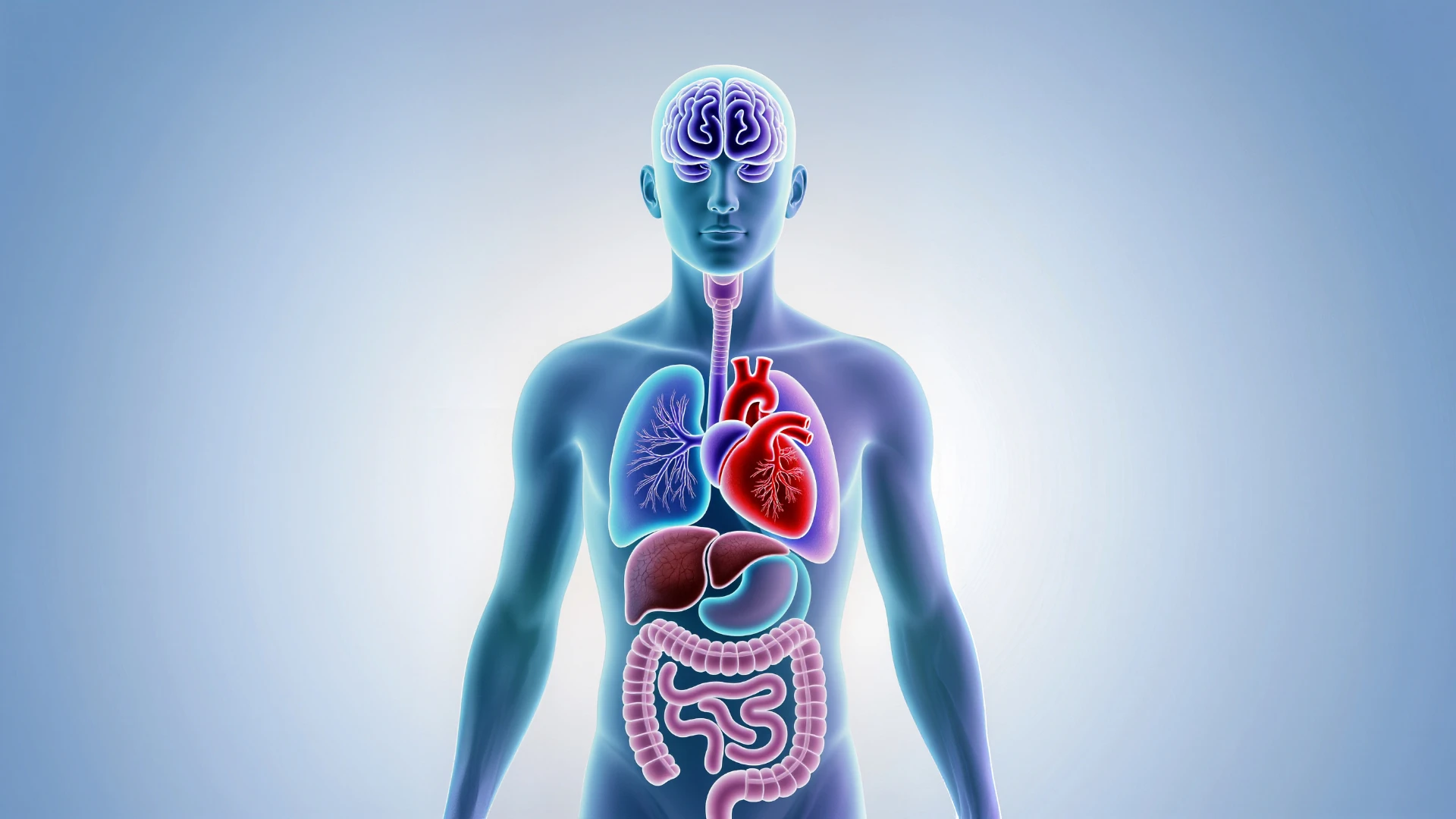 чекап організму