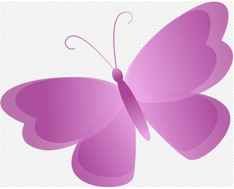6970a877aeac7.webp