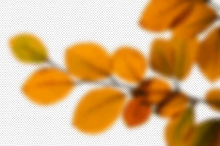 6970a8a8cf37a.webp