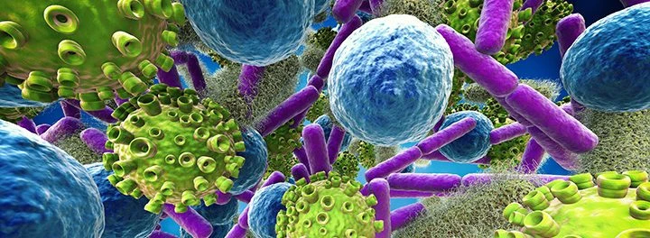 Почему баланс микрофлоры так важен для вашего самочувствия фото