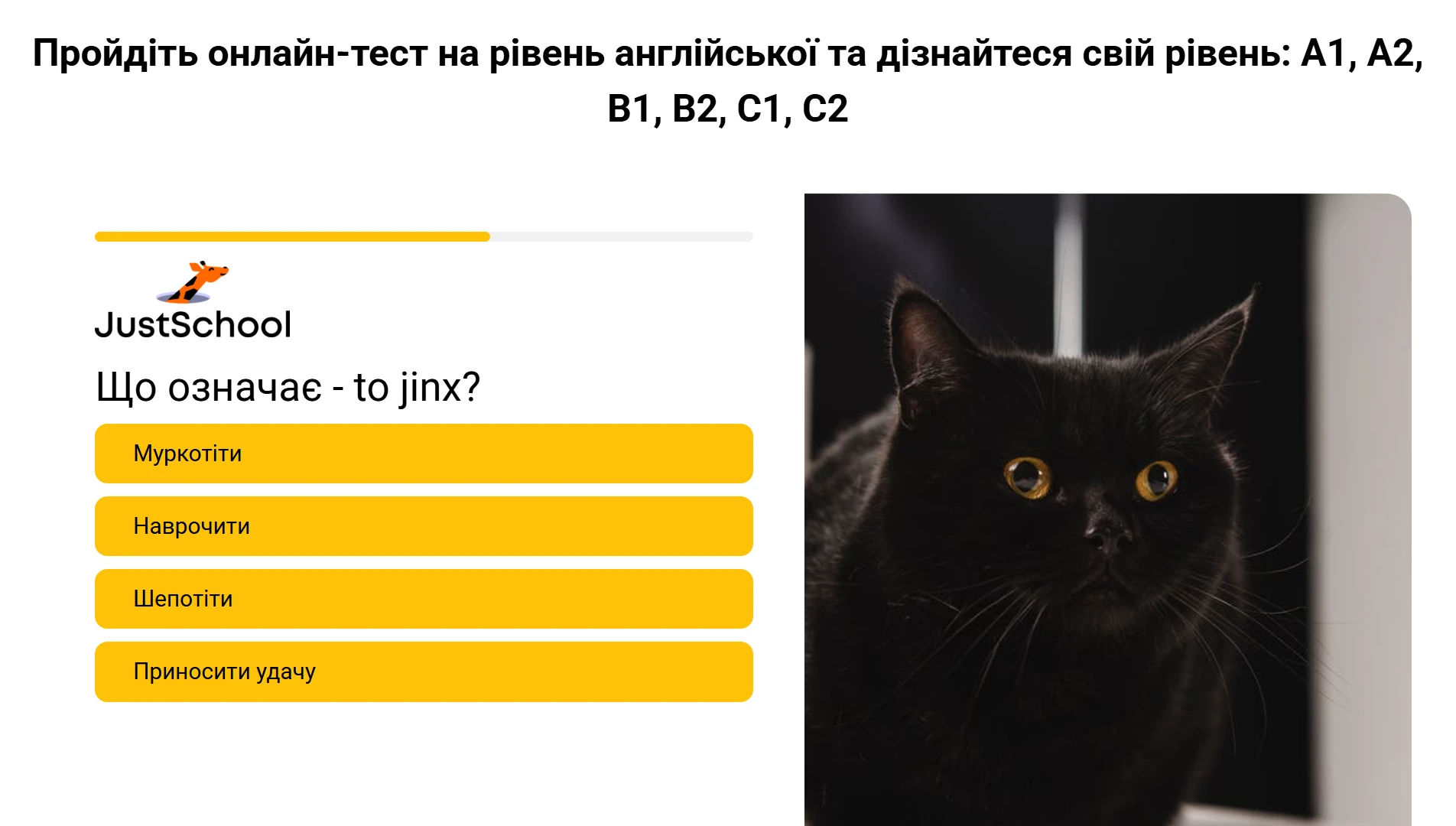 697799b794359.webp