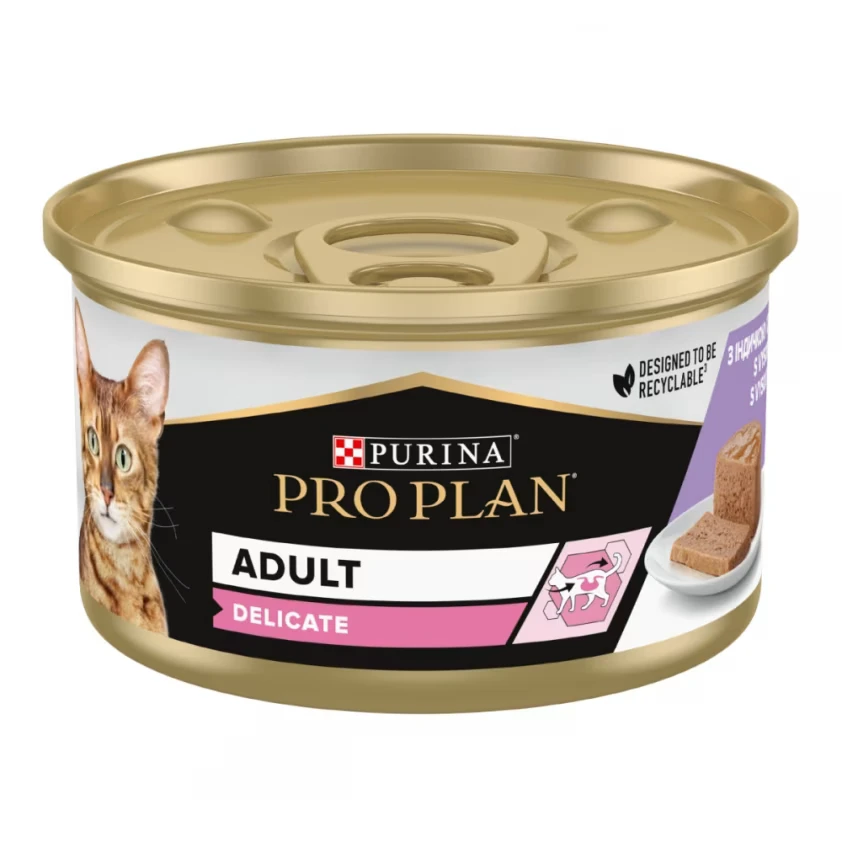 6995b8e28f930.webp