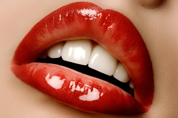 699ef7f06610e.webp