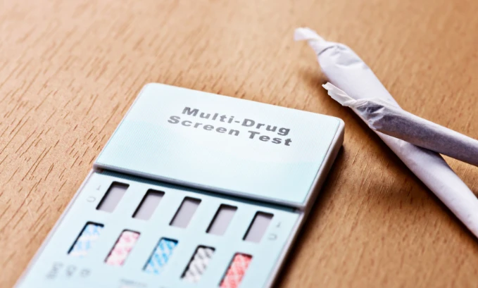 multi-pannel drug test